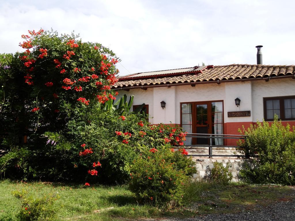 Casa Chueca - Divino Lejlighed Talca  Værelse billede